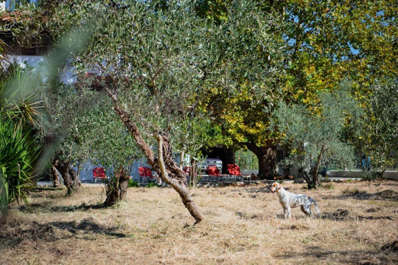 Diamond Farm Villa Kala Nera Esterno foto
